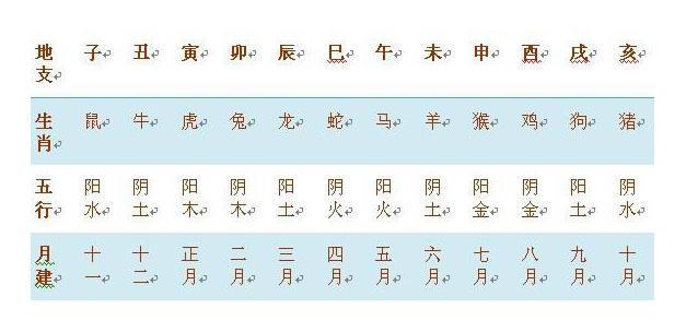 2、中国最准的免费算命网站十二地支:生辰八字算命最准的免费网站