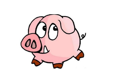 1、属猪人年农历2月运势:生肖猪年全年运势有哪些？