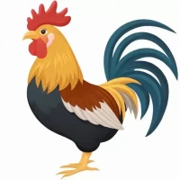 属鸡和什么属相最配 相克相冲,属鸡生肖性格磨合