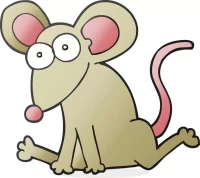 十二生肖每日运势查询:财运爱情精准解读