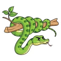 2025生肖运势查询方法及每月运程:运势指南