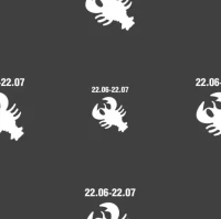 十二星座今日运势解析:美国神婆网精准预测