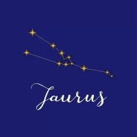 金牛座今日运势全解析:财运感情精准预测