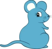 每日打牌吉位指南:2025方位精准测算