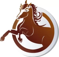 2025年运势解析:12生肖完整指南