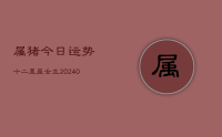 属猪今日运势十二星座女生(10月24日)