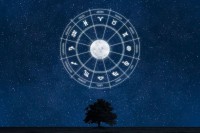 属猪的天蝎座(2025年贵人运解析)