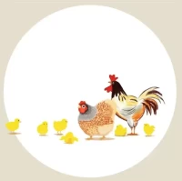 生肖鸡今日运势解析:财运健康关键指南