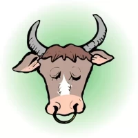 属牛必看!今日运势每日一签测试全解析:精准运势指南