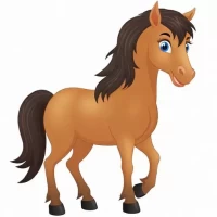 属相马的年龄属马的年龄及年份表,属相属马年龄查询