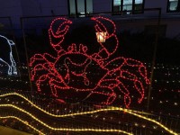 运势测算指南:这样看运势更准