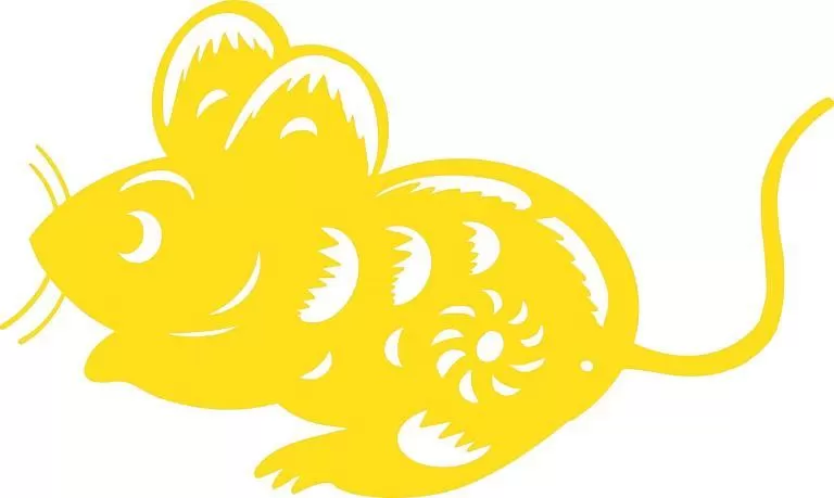 属鼠人今日运势全解析：财运提升关键点