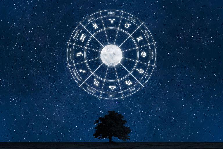 属猪的天蝎座（2025年贵人运解析）