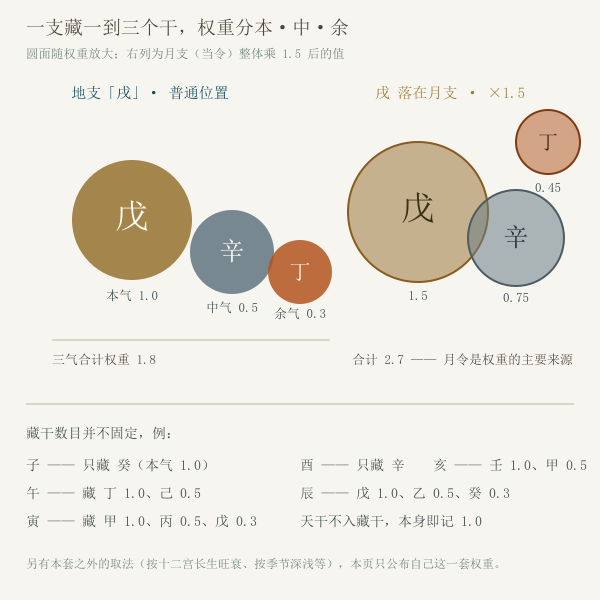 地支藏干与权重示意图