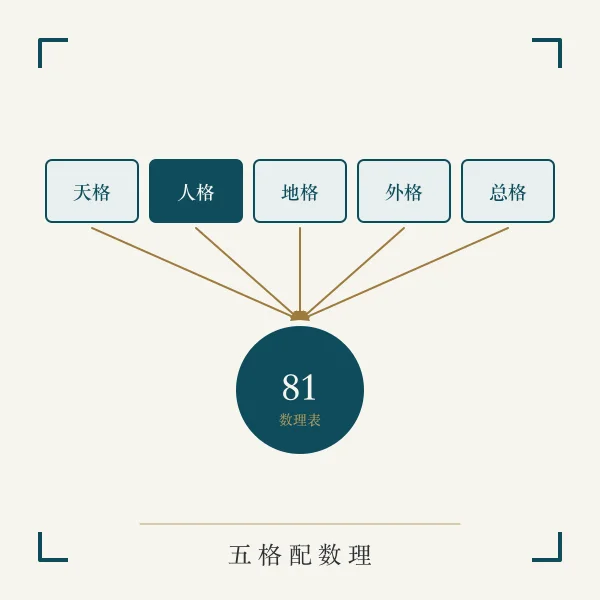 姓名五格宫格与数理主题图