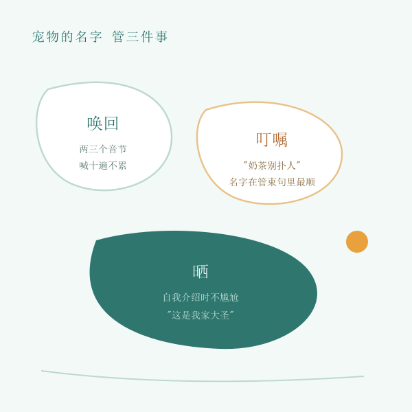宠物名字三场景主题图
