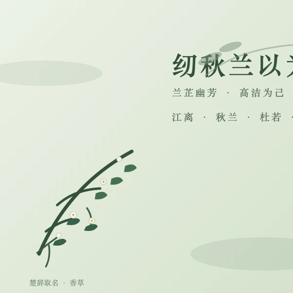 香草佩兰 兰芷杜若