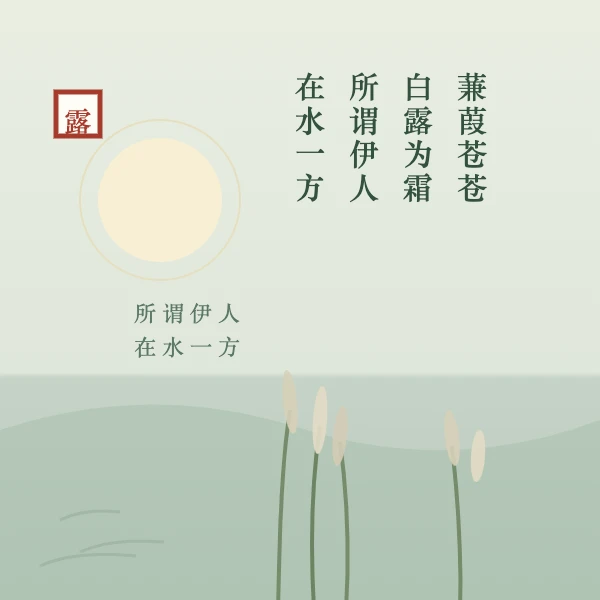 蒹葭 · 白露为霜