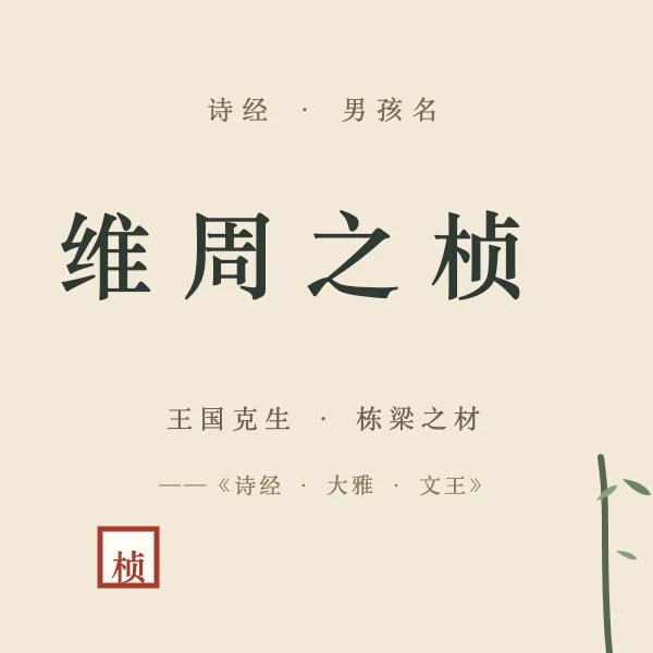 维周之桢(男孩意象)